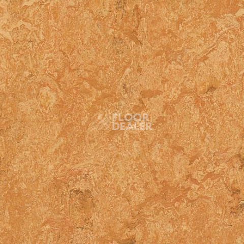 Линолеум Forbo Marmoleum Decibel on Order 317435 Sahara фото 1 | FLOORDEALER